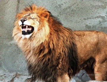  lion peintre - lion 14